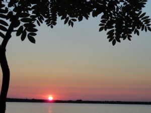 Thank you, at the end of the day, we will all be healthier!