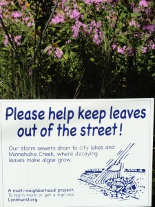 Leaves pollute our waterways!
