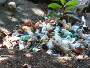 New Dehli trying to ban single-use plastic