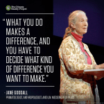 479715_844852902248022_9171346449218983255_n