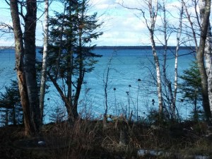 Imagine clean water and clean air