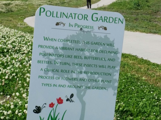 Just a few changes can make a big difference for pollinators.(bees, butterflies, and birds)