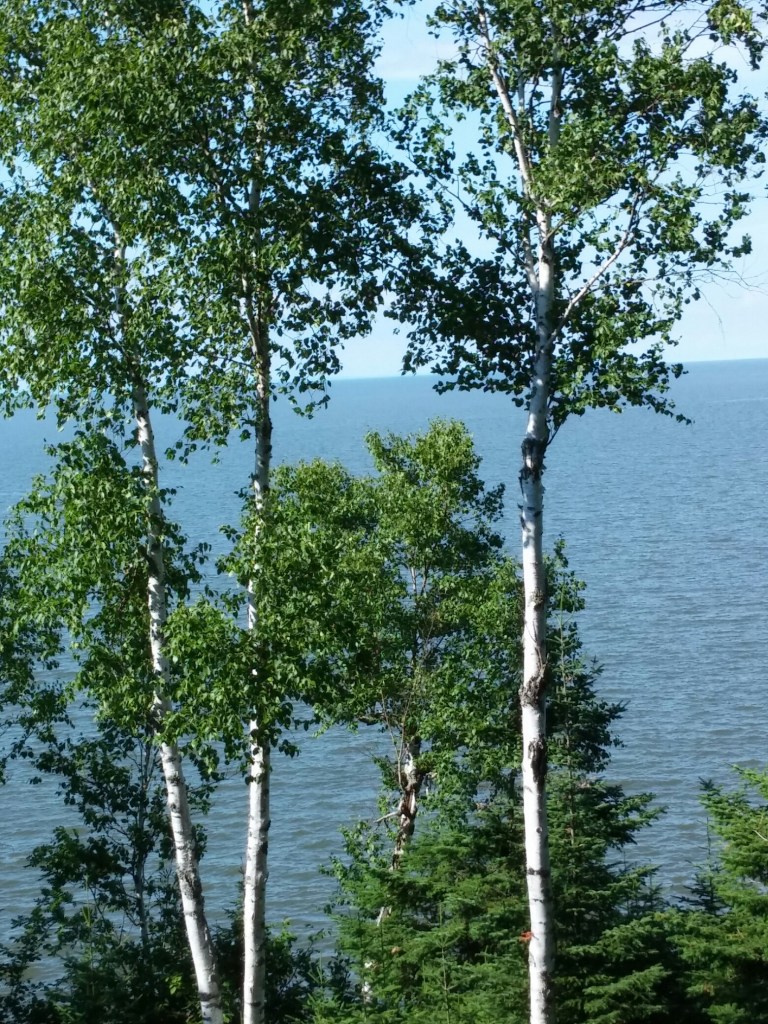 Picture of Lake Superior
