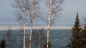 15 degree temps and there were fishermen in a small boat fishing in the ice chunks